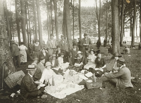 Picnic in the woods