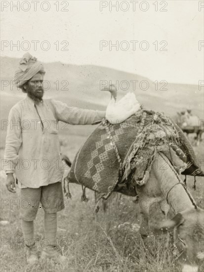 Loaded mule with duck