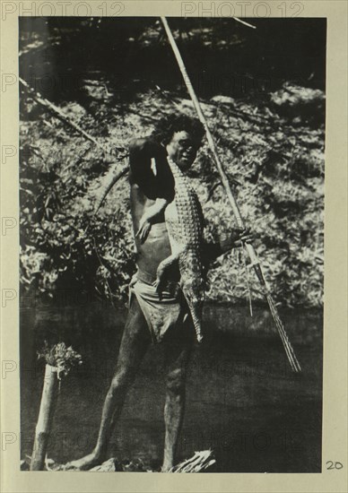 Aboriginal man holding a crocodile and spears