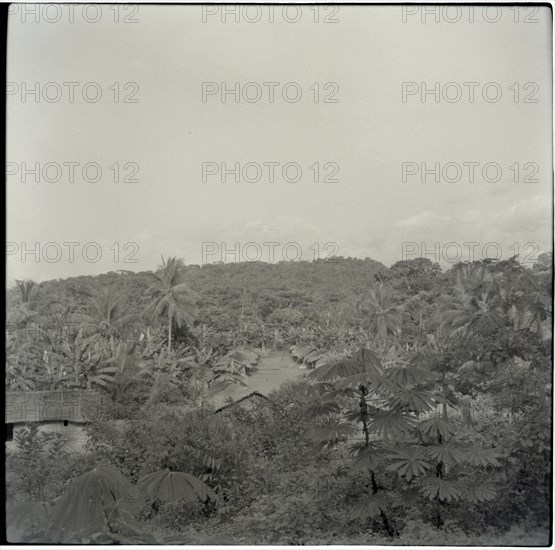 Banyang country, looking down on to part of Bakebe