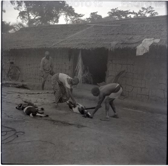 Bekundi meeting, killing the third goat