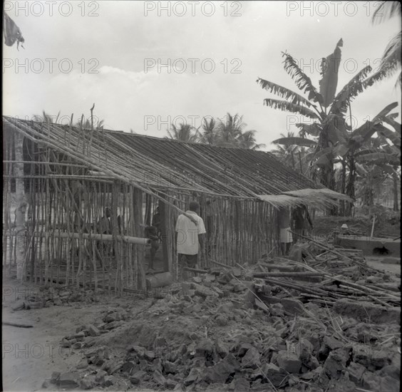 House-building group for thatching