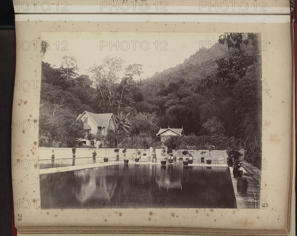 Plant-lined pool, reflecting houses