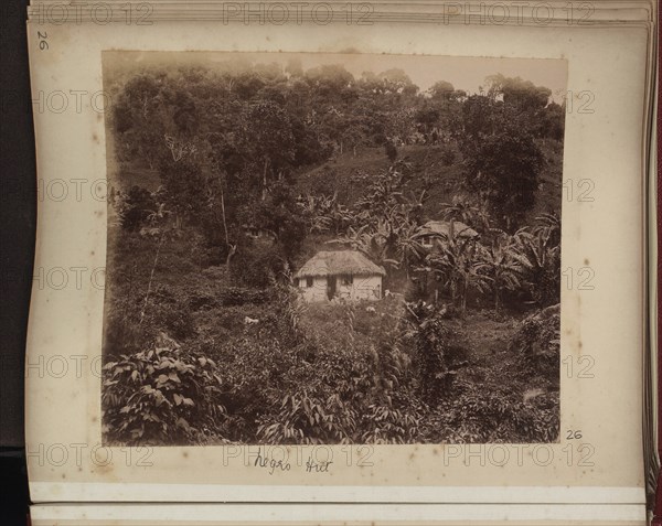 Two thatched huts set among trees