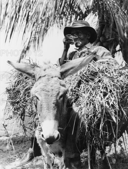 An elderly man from Dominica