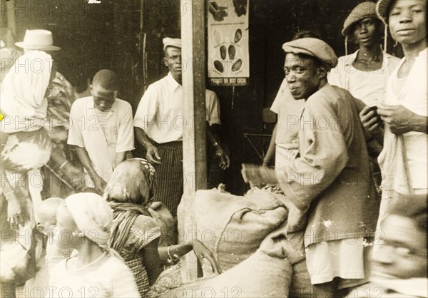 Weighing sacks of cocoa