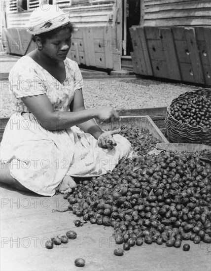 Removing nutmeg husks