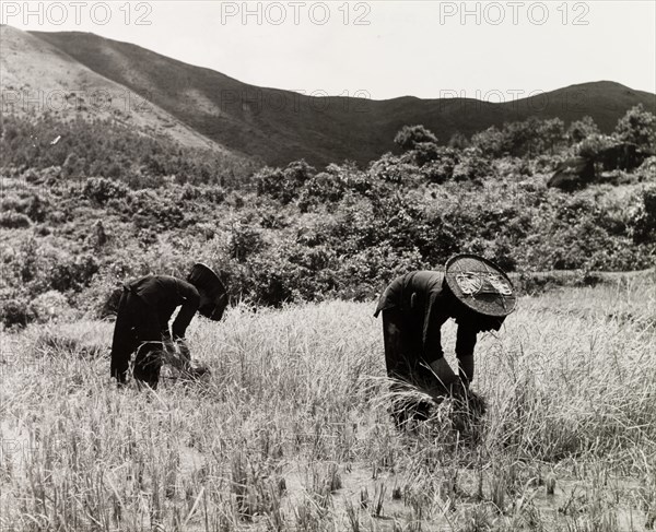 Two female Hakka labourers