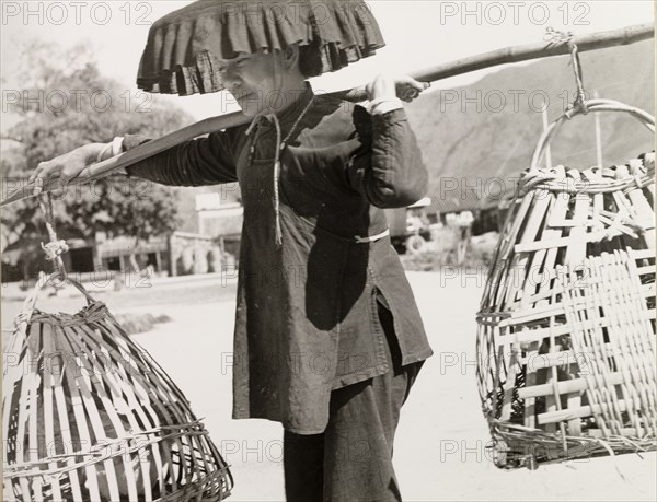 Transporting chickens in Hong Kong