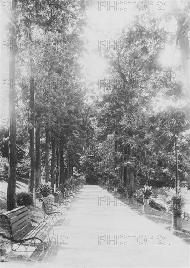 Public Gardens, Hong Kong