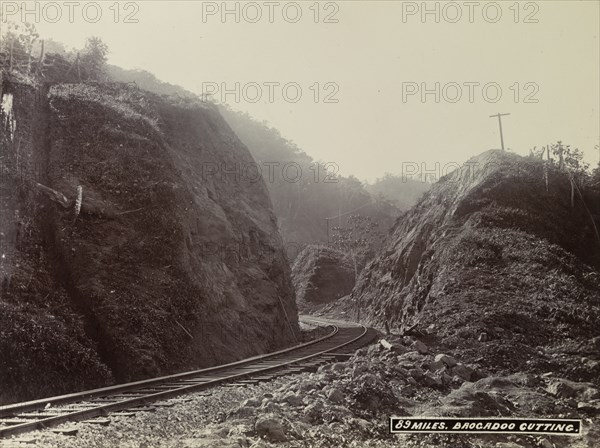 Track at Brocadoo Cutting, Jamaica
