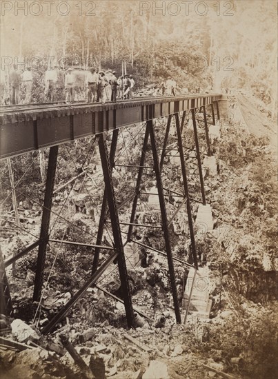 Railway viaduct, Jamaica