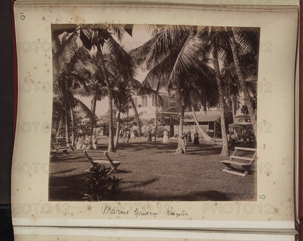 Marine Gardens, Kingston, Jamaica