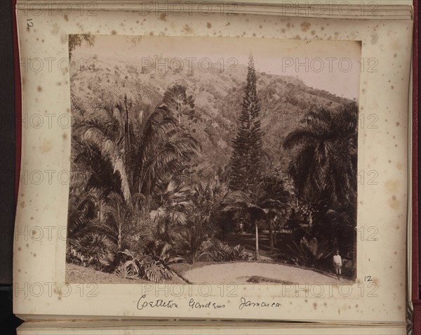 Castleton Gardens, Jamaica