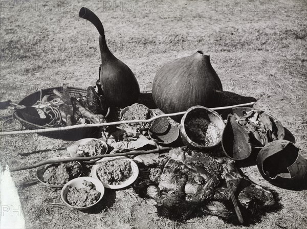 Ingredients for a Mau Mau oathing ceremony