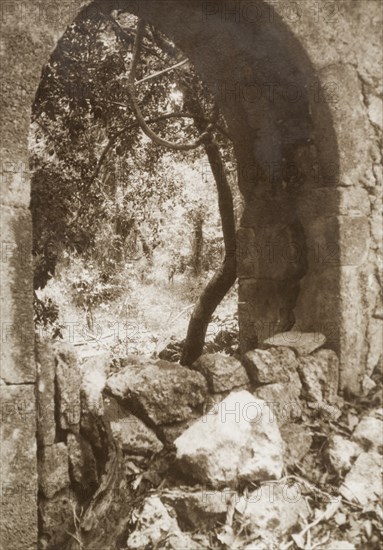 Arch at the ruins of Gedi