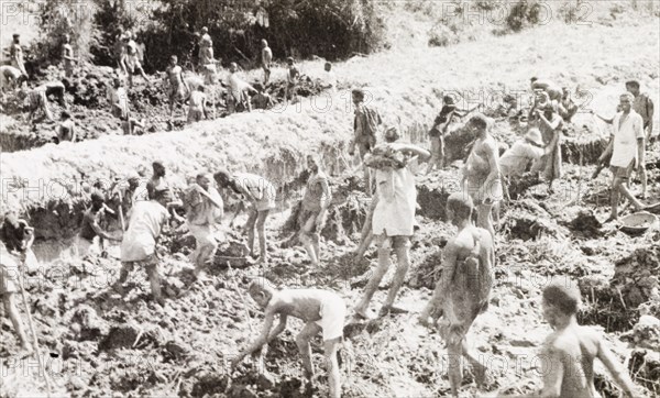 Clearing the land, Kakamega goldfields