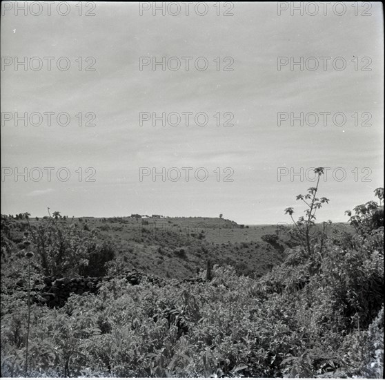[Obogun?] looking along escarpment