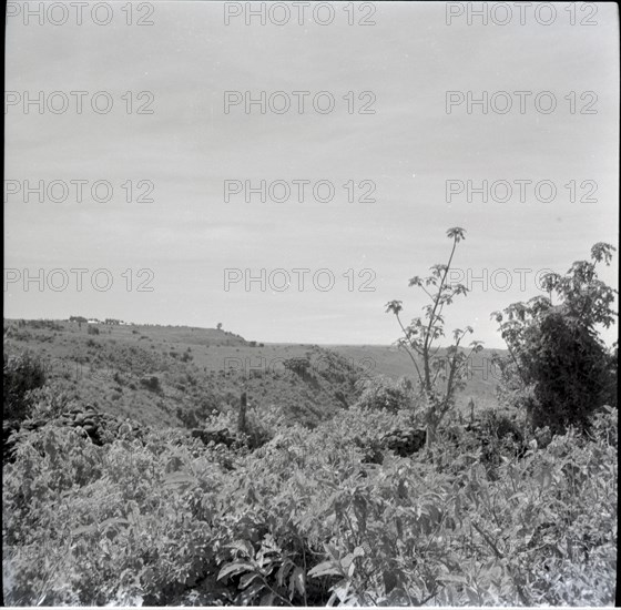 [Obogun?] looking along escarpment