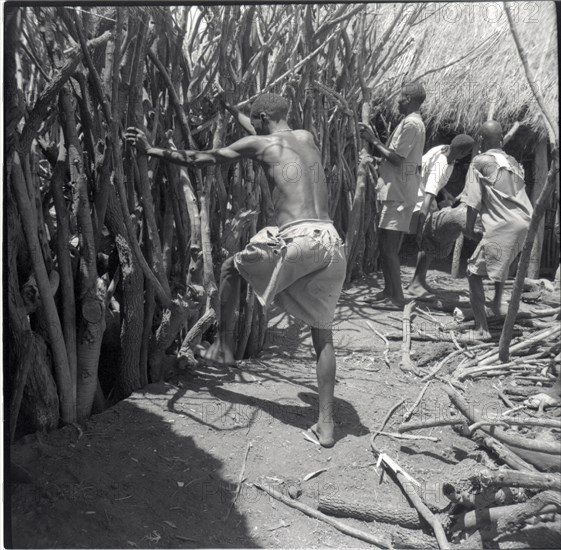 Building cattle gateway