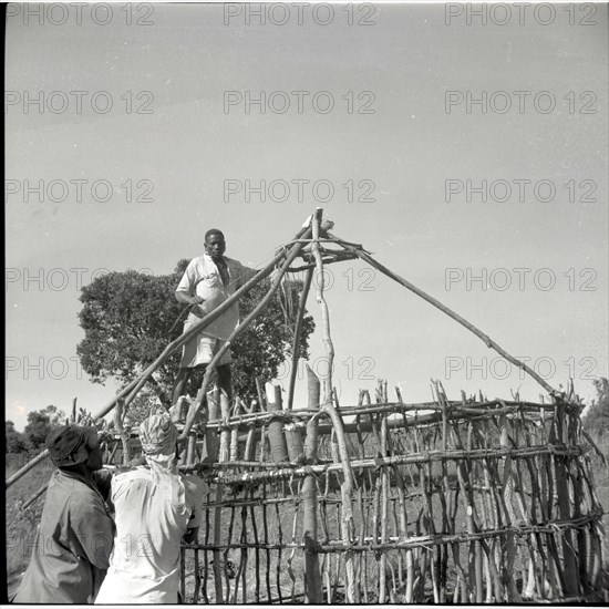 Building small house for our camp