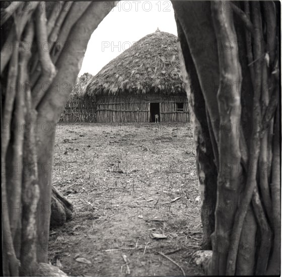 Cattle gateway