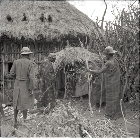 Erecting roof of small house