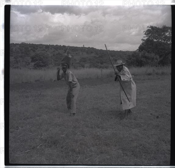Francis and Gosiani