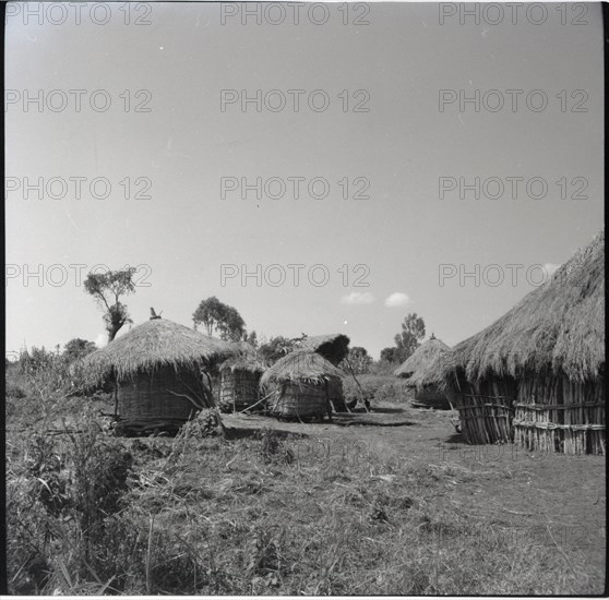 Granaries