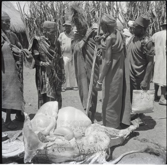 Isubo teaching elder to pierce cow