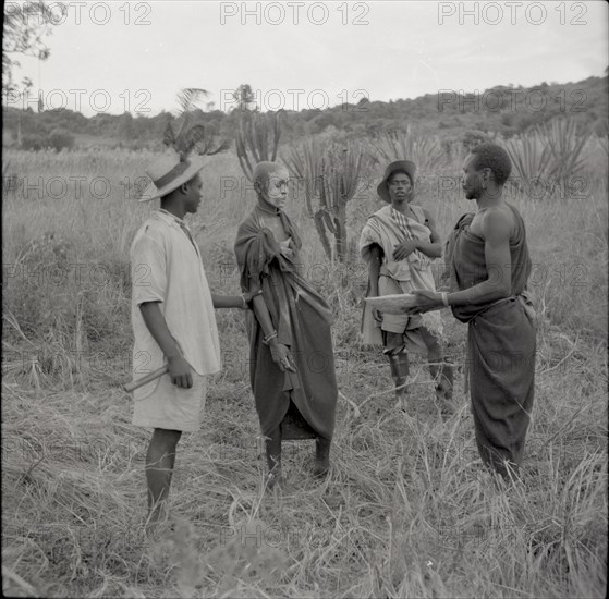 Male circumcision