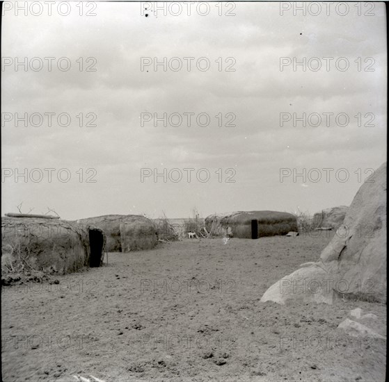 Masai kraal