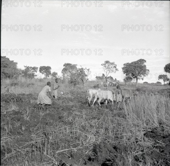 Ploughing