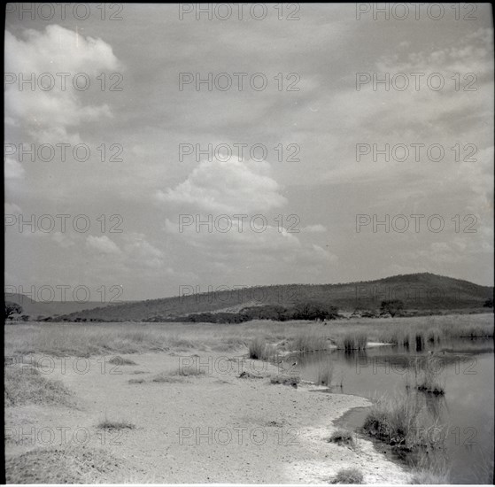 Serengheti plains and very distant animals