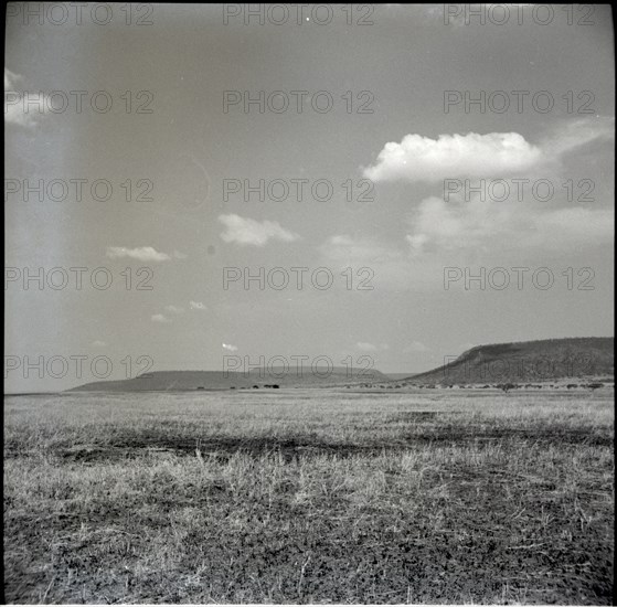 Serengheti plains and very distant animals