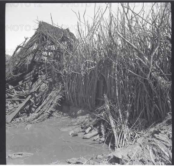 The old compound