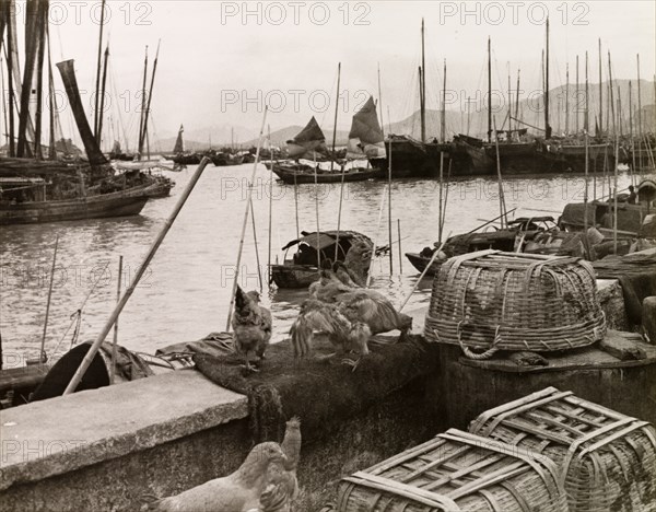 Inner Harbour, Macau