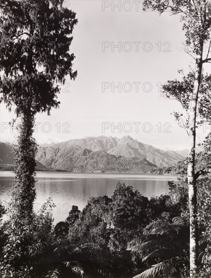 Lake Kaniere, Westland