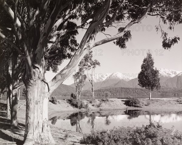 Lake Te Anau, Southland