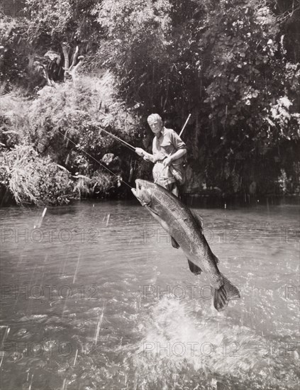 Trout Fishing at Lake Tarawera, near Rotorua