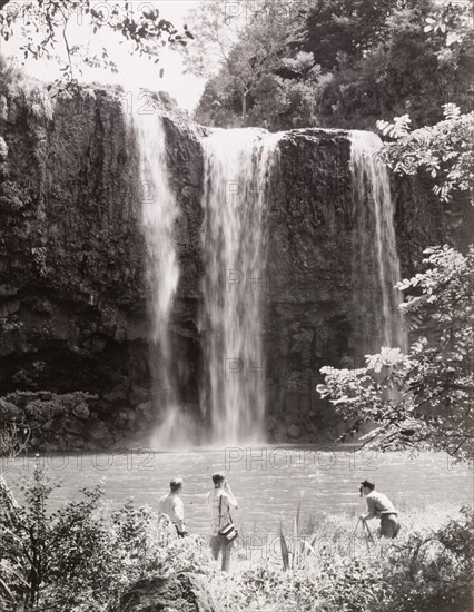 Whangarei Falls, Northland