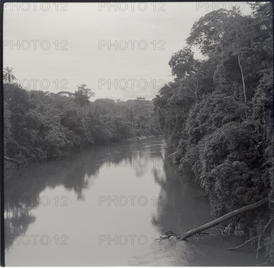 Journey from Ibadan to Cameroons, the Manaya river