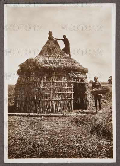 Thatched hut, Somalia