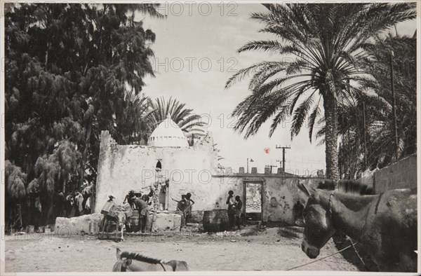 Street scene with donkeys