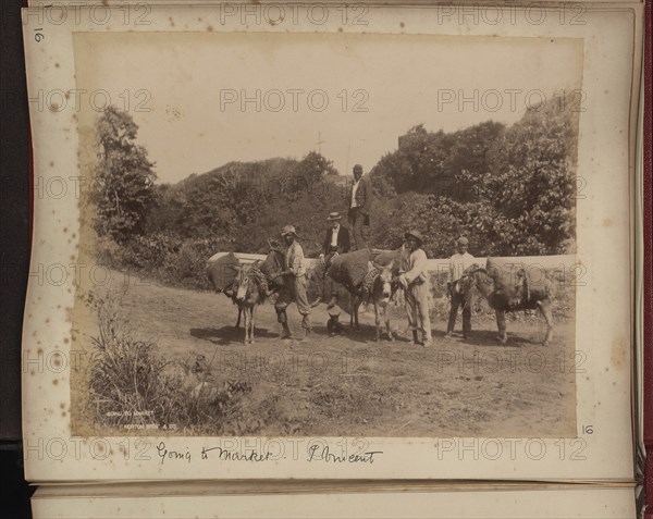 Going to Market, St Vincent