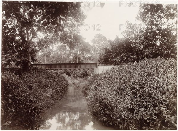 Railway bridge over the Caparo River, Trinidad