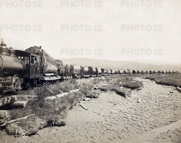 Redwood Loging Train