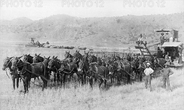 22 Mule Team Combine Harvester