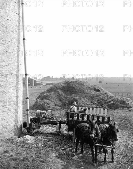 Filling A Silo