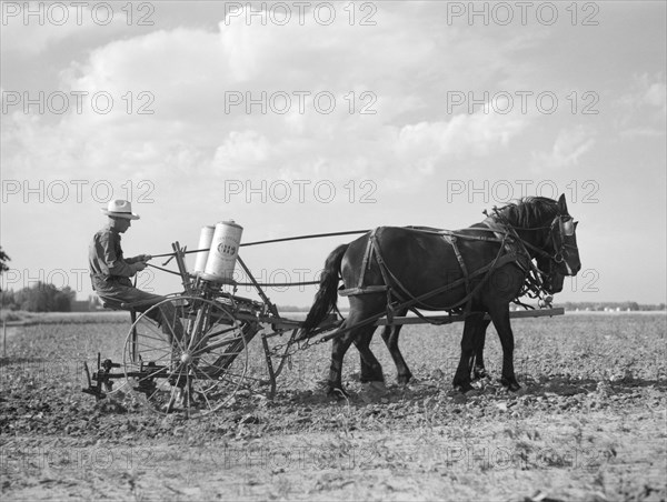 Farmer Fertilizing Corn